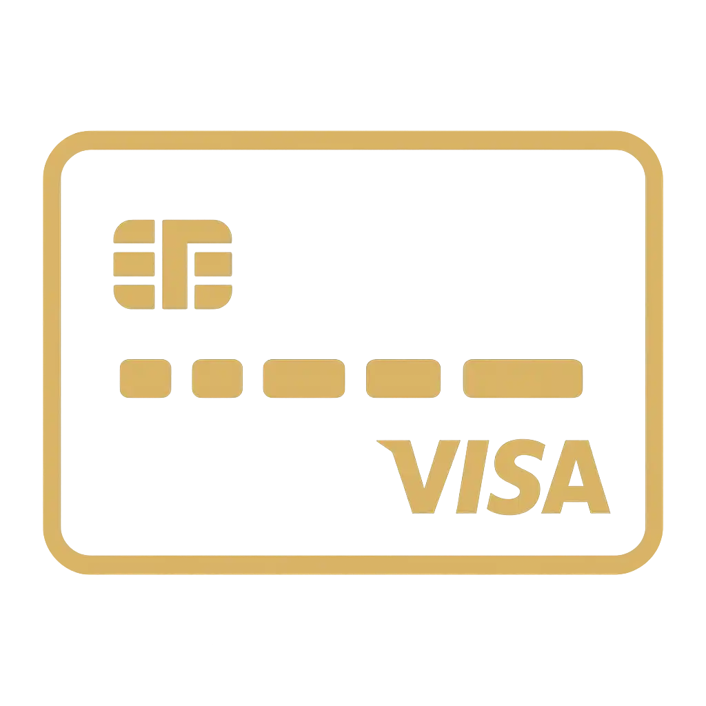 Visa payment icon